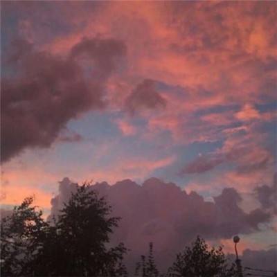 万博manbetx登录下载手机版