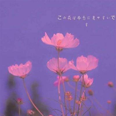 竞猜足球appapp下载截图