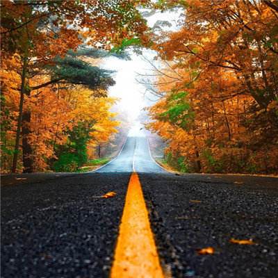 NG体育APP官方下载网址app下载