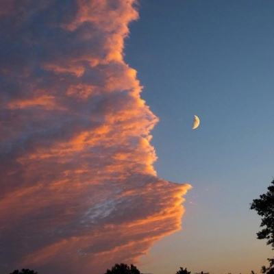 牛牛游戏网手机app下载